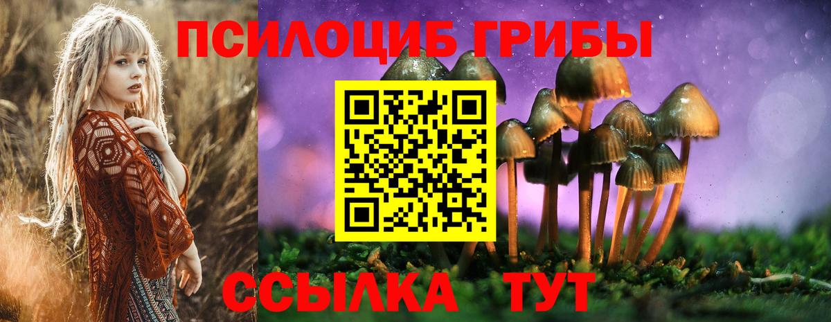 Псилоцибиновые грибы прущие грибы Дмитров