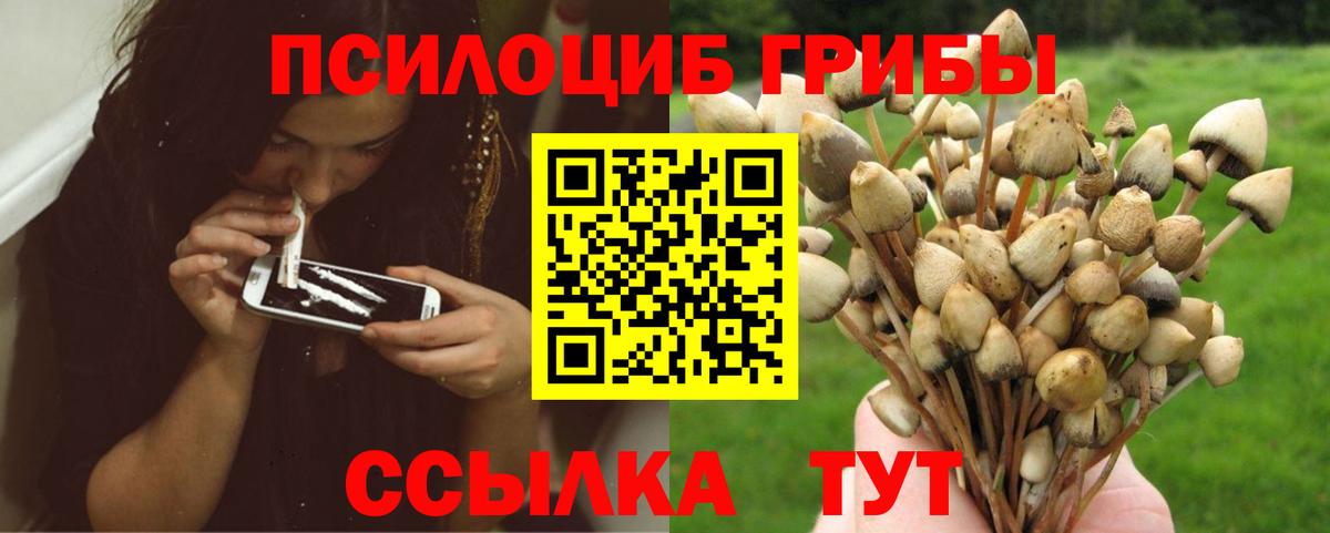 Дмитров  Галлюциногенные грибы Cubensis  Вход с VPN  Псилоцибиновые грибы Psilocybine cubensis 